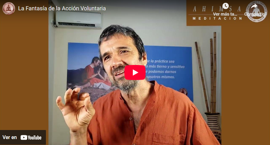 La Fantasía de la Acción Voluntaria